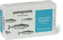 Patagonia Mackerel