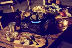 FORE WINDS Rugged Camp Stove -Camp Kitchen Sales Store a20479c6 6dcb 4049 bf0b cc1616ae00af