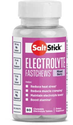 SaltStick Fastchews Chewable Electrolyte Tablets - 60 Tablets -Camp Kitchen Sales Store c0416e1a 79c5 4a33 8070 46400dbb6c69
