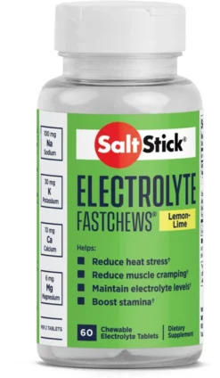 SaltStick Fastchews Chewable Electrolyte Tablets - 60 Tablets