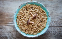 Patagonia Provisions Savory Grains - Mushroom + Kamut Khorasan Wheat - 1 Serving - None -Camp Kitchen Sales Store dfb5b697 708e 40e4 9084 8ee4235bd894