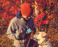 Kate's Real Food Dark Chocolate Mint Bar - 2.2 oz - Peppermint Dark Choc Cacao -Camp Kitchen Sales Store f359c90b bb9f 4656 9905 3acb7e74a83b